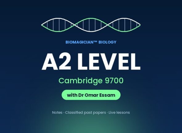 bm-cover2-a2-cam