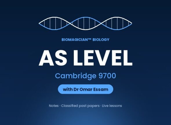 bm-cover2-as-cam