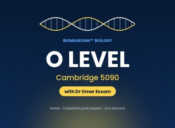 bm-cover2-o-cam